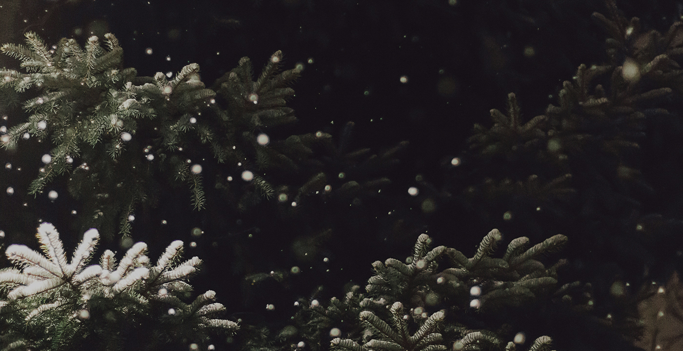 Strategic Holiday Promotions